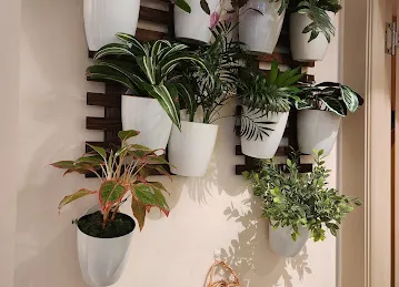 The Wellbeing Sanctuary