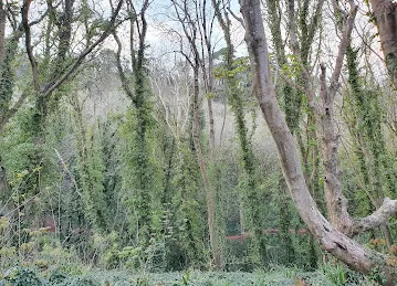 TheFarm