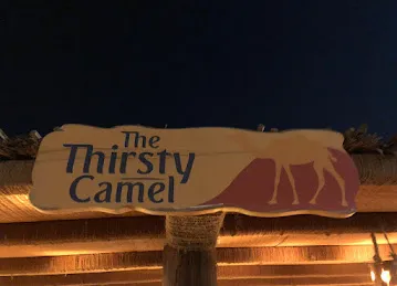 Thirsty Camel