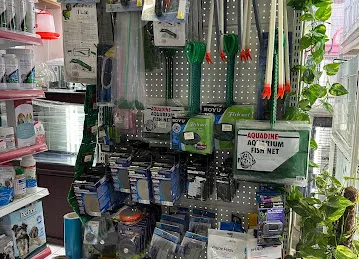 Thunder Jungle Pets Shop- Sole proprietorship L.L.C