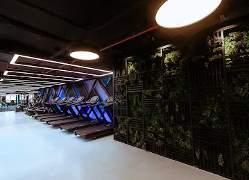 Tiger Health Club