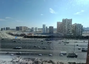 Tiger Properties