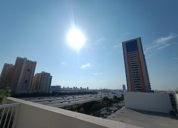 Tiger Properties