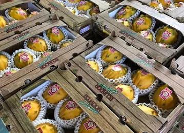 Top Fresh International Foodstuff LLC