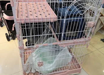 Top Pin Trading pet shop