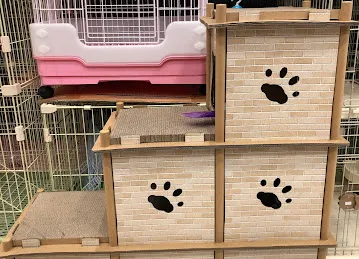 Top Pin Trading pet shop