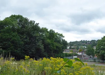 Top Real Estate