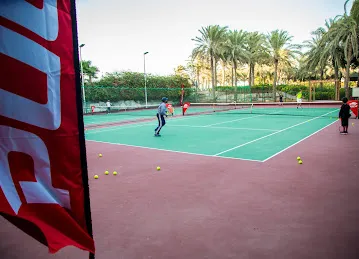 TopSpin Tennis
