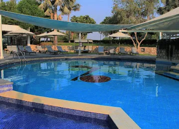 Torpedo Swimming Academy
