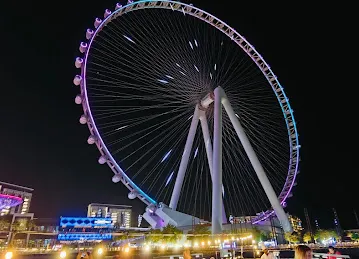 Tour Dubai Marina Dhow Cruises