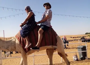 Tourisms & Desert Safari