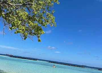 Travelwings.com