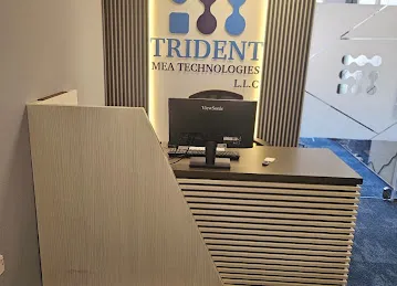 Trident MEA Technologies LLC