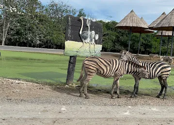 Trip To Go Tourism