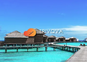 Trivova