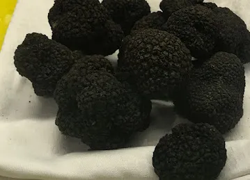 Truffle Shop