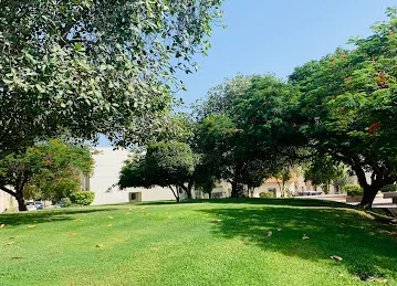 تيست استوديو