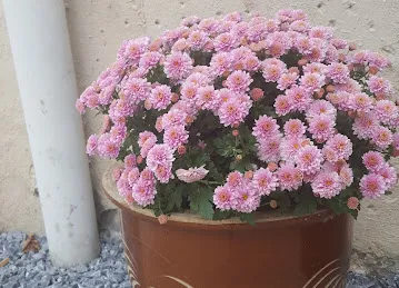 UAETYRES.COM ABU DHABI MUSSAFAH