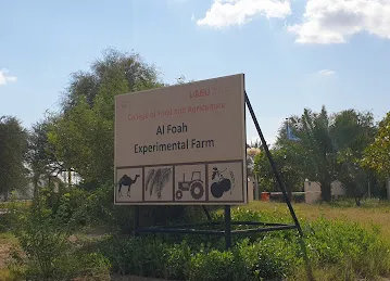 UAEU - AlFoah Farm
