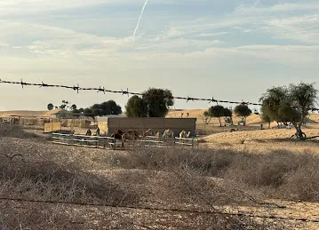 Unique Desert Tourism LLC
