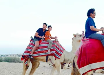 Unique Desert Tourism LLC