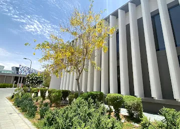 United Arab Emirates University