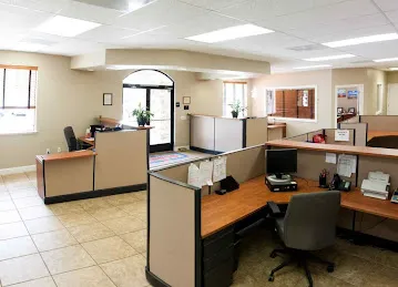 United Pest Control & Cleaning