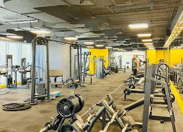 Universal Fitness