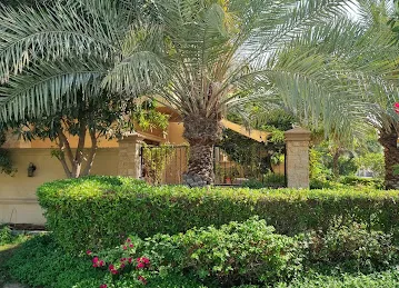 Urban Oasis