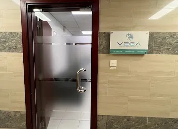 Vega Digital IT Solution LLC