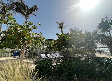 Venus Ristorante