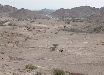 View Point
