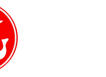 Viking Trailers International FZCO