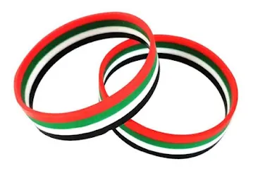 Vinyl Wristband-Lanyard-Lapel Pin-Badge-Medal-USB Flash Disk