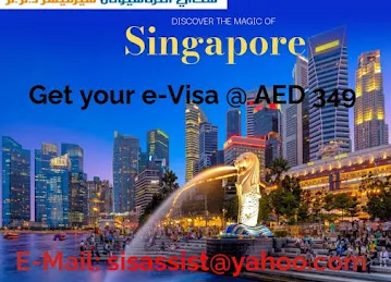 Visa Me Travels LLC
