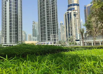 Vision Valley DMCC