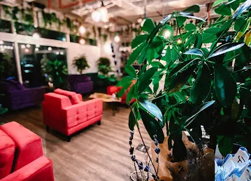 Vogue Flowers | Cafe