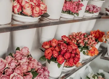 Vogue Flowers | Cafe