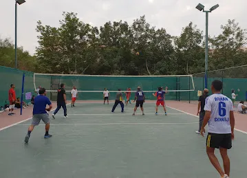Volleyball Court
