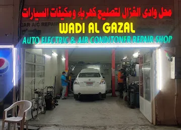 Wadi Al Gazal Auto Electrical & A/c Rep Shop