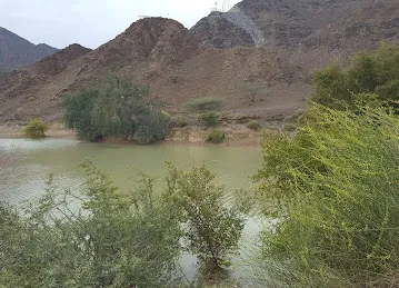 Wadi Esfane Restaurant