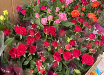 Wahat Al Zuhoor Landscaping & Flowers