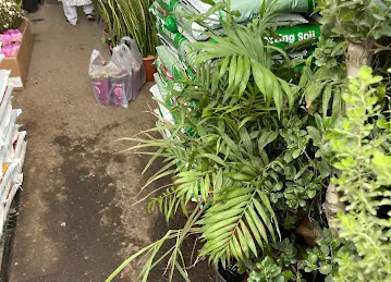 Wahat Al Zuhoor Landscaping & Flowers