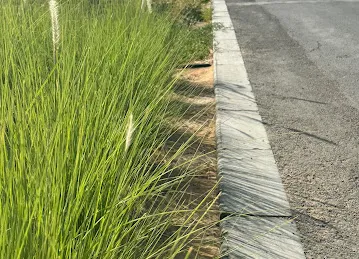 Walking path