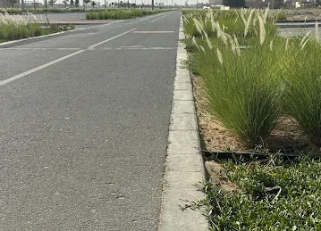 Walking Track
