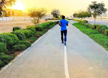 Walking Track
