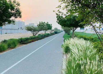 Walking Track