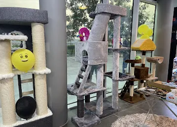 Wallet pet animal accessories