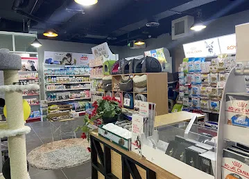 Wallet pet animal accessories