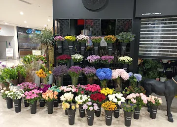 We Flowers - Jumeirah Golf Estate Branch